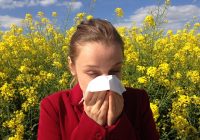 A Natural and Holistic Approach to the Treatment of Allergies